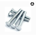 DIN603 Stainless Steel Mushroom Head, Square Neck Bolt